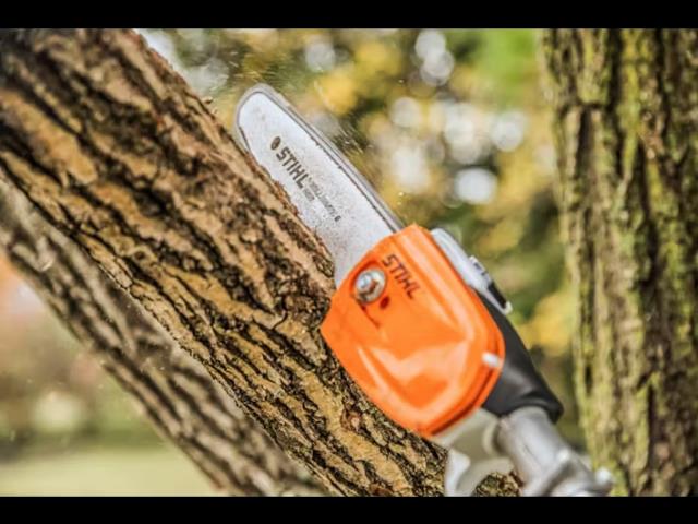 Where to rent SAW,POLE PRUNNER 9 in St. Louis MO